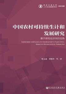 中國農村可持續生計和發展研究：基于微觀經濟學的視角