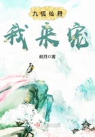 九狐仙君我來寵在線閱讀