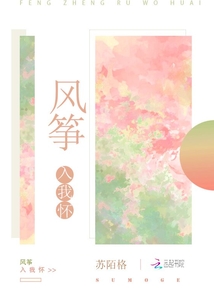 風箏入我懷