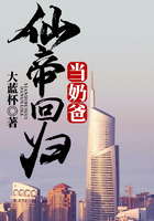 仙帝回归当奶爸在线阅读