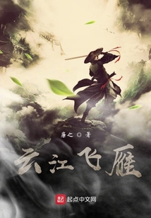 云江飞雁