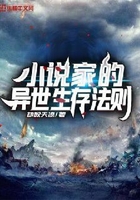 小说家的异世生存法则