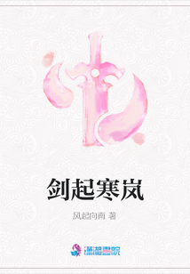 劍起寒嵐