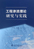 工程渗流理论研究与实践在线阅读