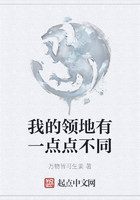 我的領(lǐng)地有一點(diǎn)點(diǎn)不同在線閱讀