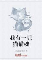 我有一只猫猫魂在线阅读