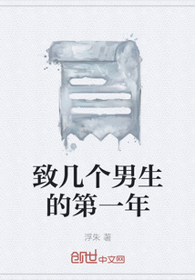 致幾個(gè)男生的第一年