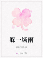 躲一场雨在线阅读