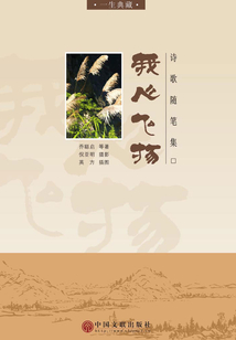 我心飛揚