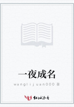 一夜成名 封面