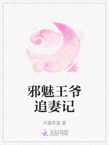 邪魅王爺追妻記