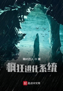 疯狂进化系统