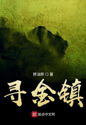 寻金镇在线阅读