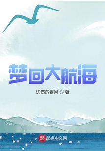 梦回大航海
