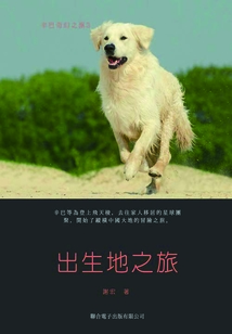 辛巴奇幻之旅3：出生地之旅