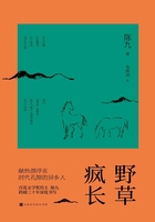 野草瘋長在線閱讀