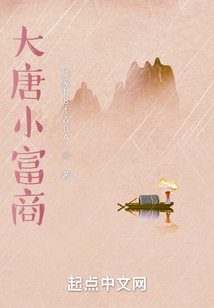 大唐小富商