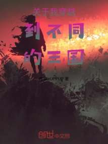 關于我穿越到不同的三國