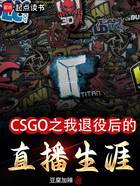 CSGO之我退役后的直播生涯在线阅读