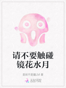 請不要觸碰鏡花水月