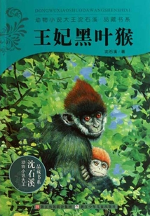 王妃黑葉猴