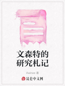 文森特的研究札記