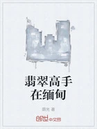 翡翠高手在缅甸在线阅读