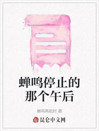 蝉鸣停止的那个午后在线阅读