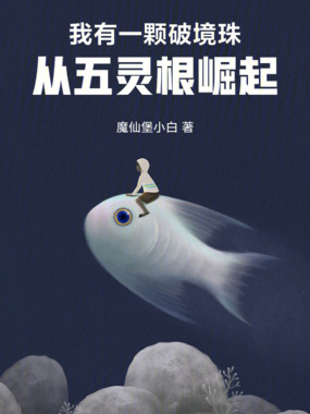 我有一颗破境珠,从五灵根崛起在线阅读