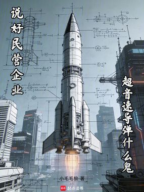 说好民营企业：超音速导弹什么鬼在线阅读