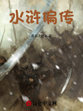 水浒偏传在线阅读