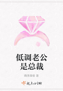 低調(diào)老公是總裁
