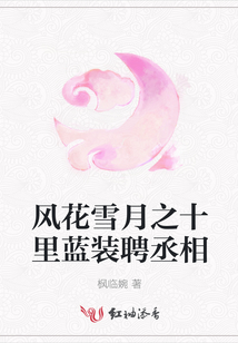 風花雪月之十里藍裝聘丞相