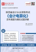 陕西省会计从业资格考试《会计电算化》历年真题与模拟试题详解