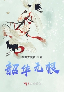 韶华无根