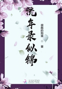 流年錄似錦