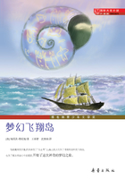梦幻飞翔岛在线阅读