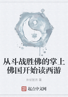 從斗戰(zhàn)勝佛的掌上佛國開始讀西游在線閱讀