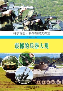 震撼的兵器大觀