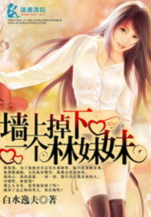 墻上掉下一個林妹妹