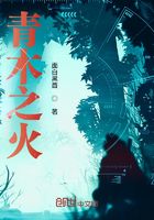 青木之火在線閱讀