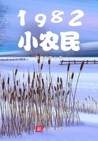 1982小农民在线阅读