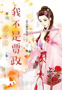 紅樓之我不是賈政