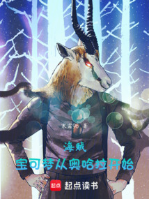 海賊：寶可夢從奧哈拉開始