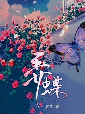 弄蝶在线阅读