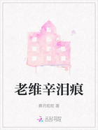 老维辛泪痕在线阅读