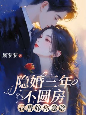 隐婚三年不圆房，我再嫁你急啥？在线阅读