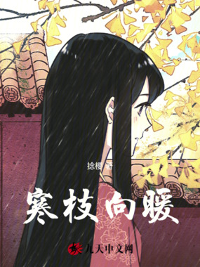 寒枝向暖在线阅读