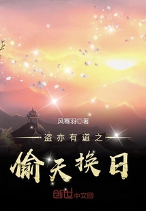 盗亦有道之偷天换日