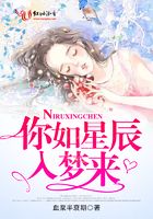 你如星辰入夢來在線閱讀